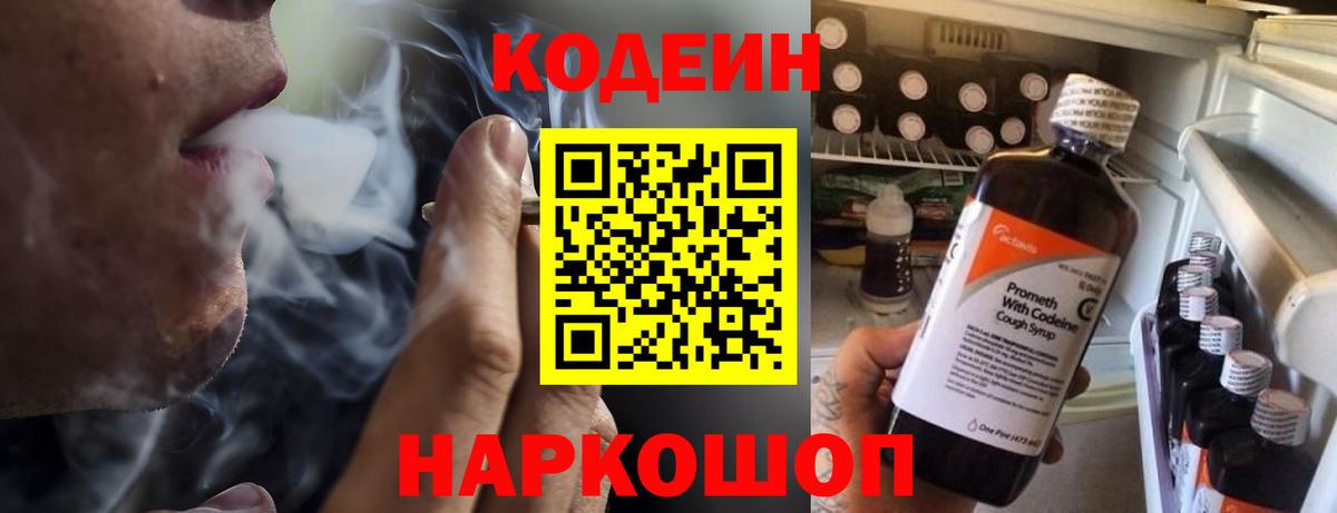 Знаменск  где можно купить наркотик  Вход с VPN  Кодеин напиток Lean (лин)  Кодеиновый сироп Lean напиток Lean (лин) 