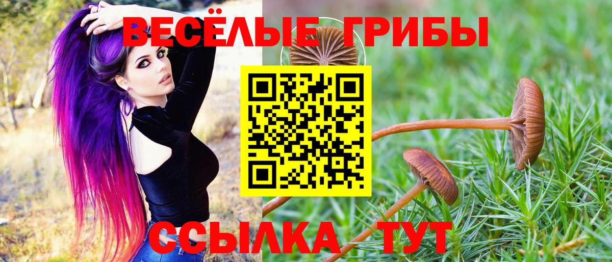 Псилоцибиновые грибы прущие грибы Знаменск