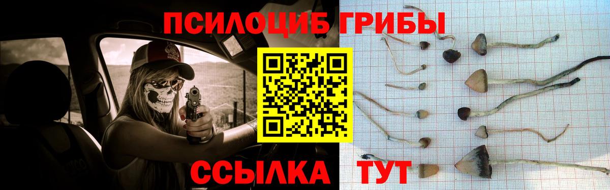 Галлюциногенные грибы Cubensis  Псилоцибиновые грибы мухоморы  Вход с VPN  купить наркотики цена  Знаменск 
